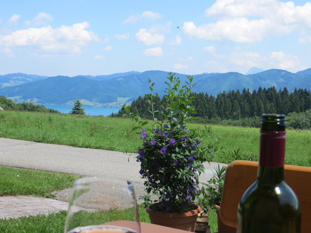 Ferienwohnung Brigitte Perner Nussdorf am Attersee Exteriör bild